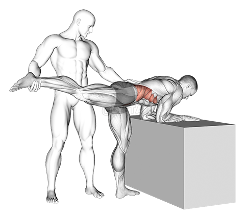 Hip Abduction With Flexion In Front Stretch - Video Guide