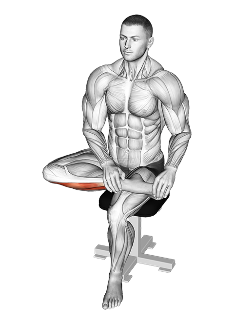 Seated Toe Extensor And Foot Inverter Stretch demonstration