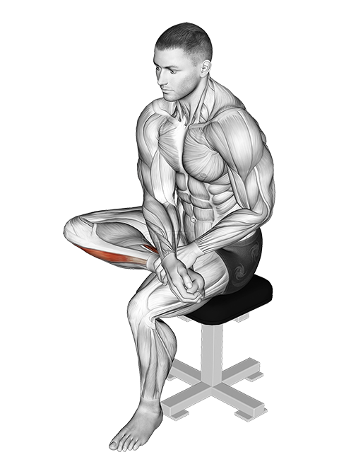 Seated Toe Flexor And Foot Everter Stretch demonstration