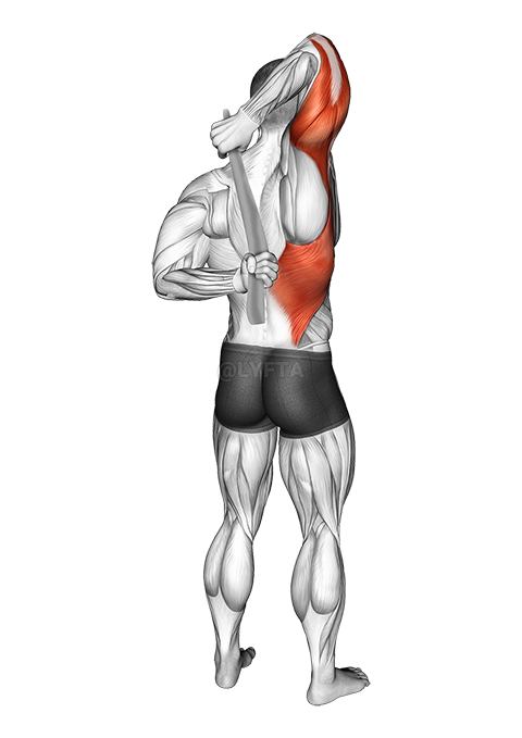 Shoulder Stretch With Towel Behind The Back demonstration