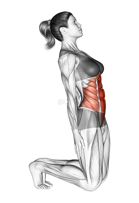 Estiramiento abdominal de rodillas demonstration