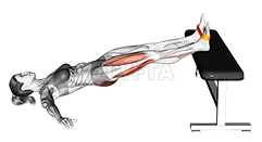 Resistance Band Supine Hip Bridge March demonstration