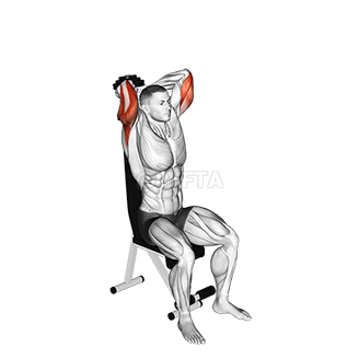 Extensão de tríceps sentado com halteres demonstration