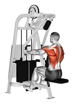 Lever Seated Row Machine 