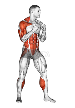 Right Uppercut. Boxing demonstration