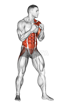 Uppercut stânga. Box demonstration