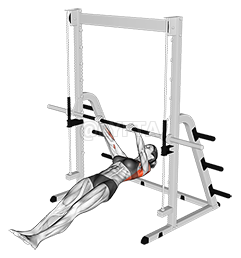 Inverted Row demonstration