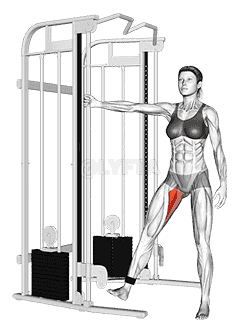 Cable Hip Adduction demonstration