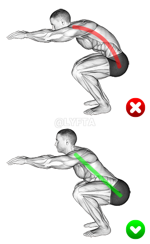 Squat - Back demonstration