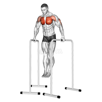 Wide-Grip Chest Dip on High Parallel Bars demonstration