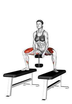Dumbbell Sumo Squat off Benches demonstration