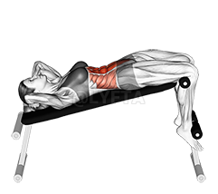 Standing Lateral Side Stretch