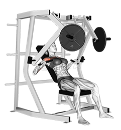 Pârghie Decline Chest Press demonstration