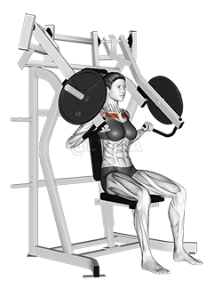 Lever Incline Chest Press demonstration