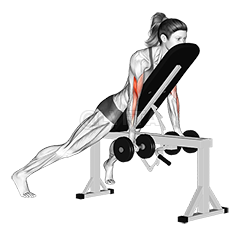 Dumbbell Prone Incline Curl demonstration