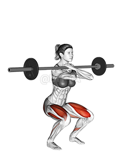 Barbell Front Squat demonstration