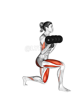 Dumbbell Lunge with Bicep Curl demonstration