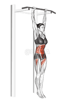 Hanging Leg Hip Raise demonstration