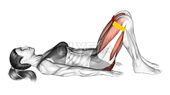 Resistance Band Glute Bridge demonstration