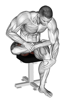 Seated Piriformis Stretch demonstration