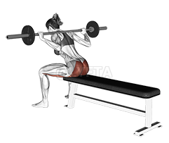 Barbell Seated Good morning demonstration