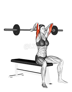 Barbell Seated Overhead Triceps Extension demonstration