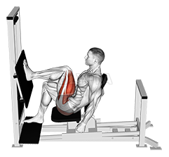 Lever Horizontal One leg Press demonstration