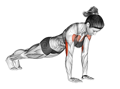 Close-Grip Push-up demonstration