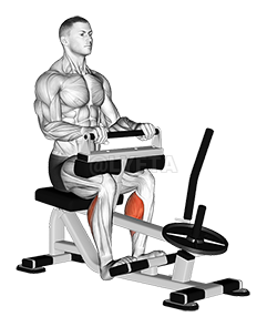 Lever Seated Calf Raise demonstration