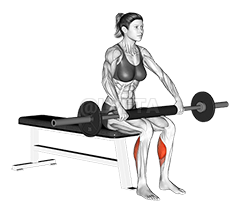 Barbell Seated Calf Raise demonstration