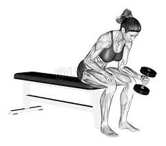 Dumbbell One Arm Seated Neutral Wrist Curl demonstration