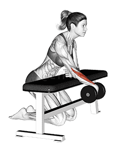 Cable Seated Neck Flexion (with head harness)