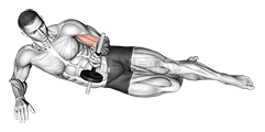 Dumbbell Lying Supination on Floor demonstration