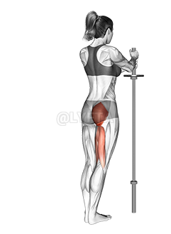 Standing Hip Extension demonstration