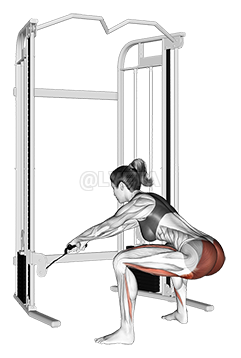 Cable Standing Hip Thrust demonstration