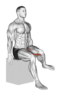 Hip - Lateral Rotation demonstration