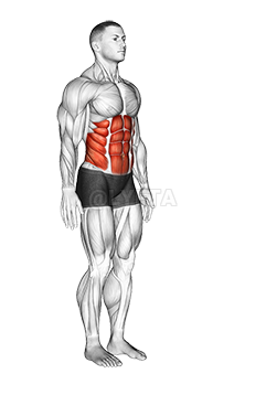 Columna vertebral demonstration