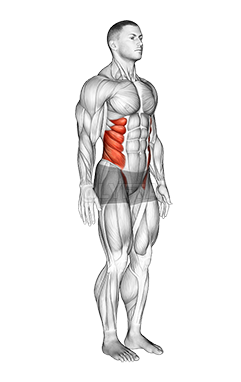 Columna vertebral demonstration