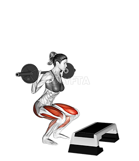 Barbell Squat Jump Step Rear Lunge demonstration