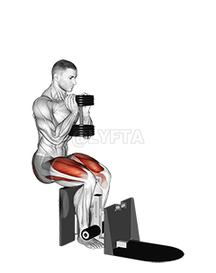 Dumbbell Supported Squat demonstration