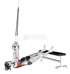 Suspender Weighted Inverted Row demonstration