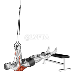 Suspender Weighted Inverted Row demonstration