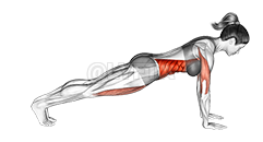 Leg Pull Front Supported demonstration