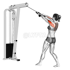Cable Standing Rear Delt Row demonstration