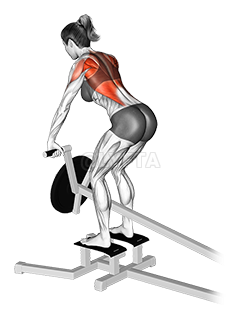 Lever T-bar Row demonstration