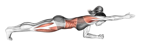 Front Plank with Arm Lift demonstration