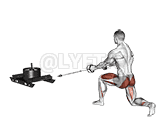 Power Sled Rear Lunge Row demonstration