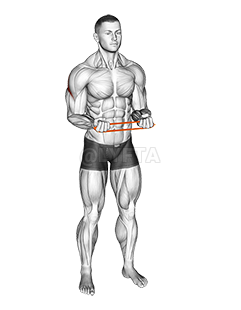 Resistance Band Pullapart demonstration