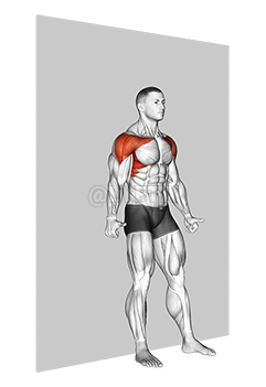 Shoulder Flexion Back to Wall demonstration