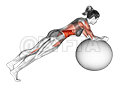 Stability Ball Rounded Rollout demonstration